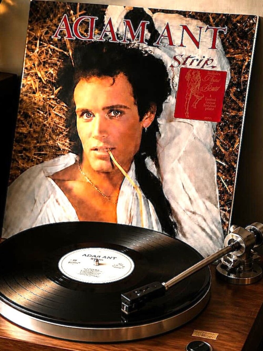Adam Ant – Strip (LP)